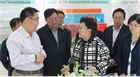 市委副書記、代市長艾麗華來我公司考察、調(diào)研
