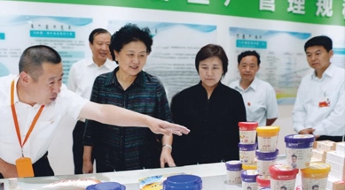 原中共中央政治局委員、國務(wù)院副總理劉延?xùn)|視察我公司